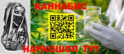 гидропоника Камышлов