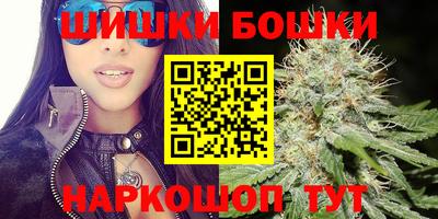 гидропоника Камышлов