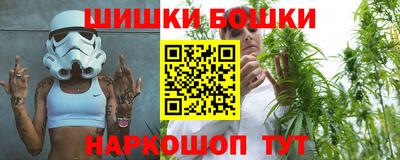 гидропоника Камышлов