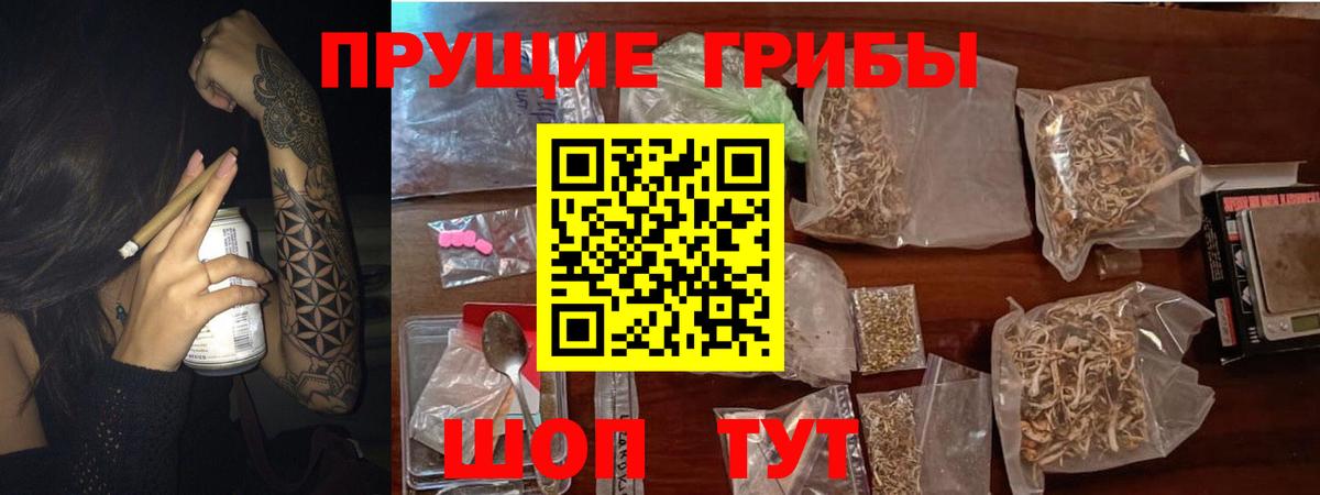Красный Сулин  Галлюциногенные грибы прущие грибы  Вход с VPN 